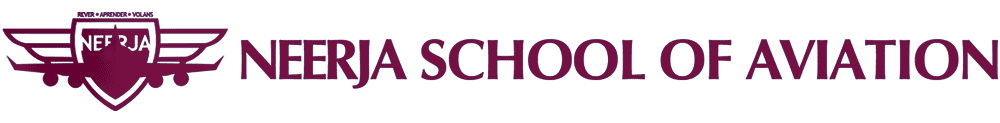 Neerja School of Aviation — Kerala Aviation Institute Logo